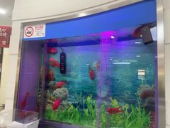 -雅悦齿科(顾村公园店)