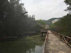 -玫瑰海岸文化旅游度假区