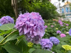 -常州古运河南大街文化旅游区-人民公园