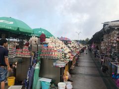 -日照灯塔风景区