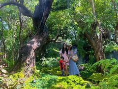 -Chom Cafe and Restaurant