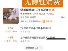 -猫爪屋猫咖(乐汇城店)
