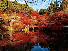 -醍醐寺