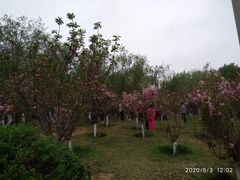 -长白岛森林公园