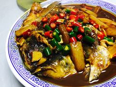-张鸟园农家乐(张鸟园店)