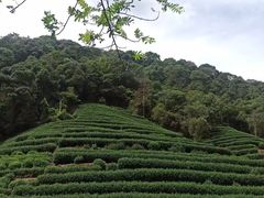 -西湖风景区十里琅珰-五云山