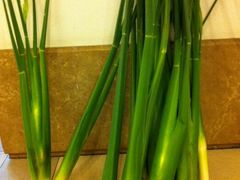 android_upload_pic-练塘古镇