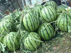 iphone_upload_pic-江杨农产品批发市场