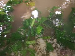 -老白家水盆羊肉