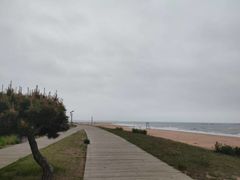 -渡海小渔村.老辈日照菜
