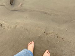 -金海湾滨江公园