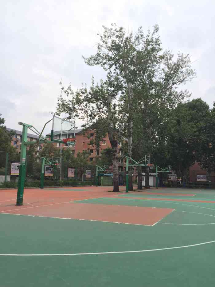 清华大学篮球场图片