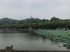 -西湖游船