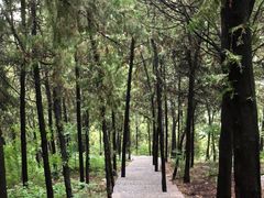 -云龙山