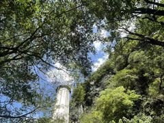 -牛背梁国家森林公园