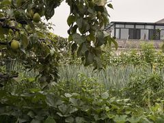 -丽泽山庄·生态怀柔菜·虹鳟鱼(红螺寺店)