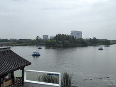 -杭州湾海上花田景区