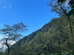 -泰山风景名胜区