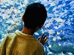 -成都浩海立方海洋公园