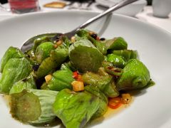 青皮茄-天然台1908(中建广场店)