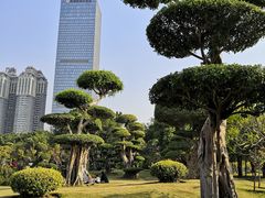 -南宁南湖公园