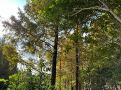 -世纪公园-世纪春沁园