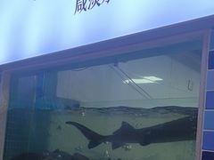 -大河宴·椒麻鱼火锅(北京路中和美食街店)
