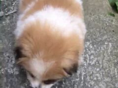 -水都假日酒店-海韵西餐厅(龙胜路店)