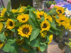 -双季花艺园艺市场(浦东店)