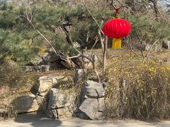 -千佛山风景名胜区
