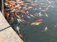 -华南国家植物园-售票处