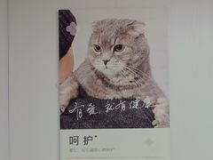 -艾贝尔宠物医院 ·中兽医·宠保定点(北门桥店)