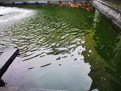 -太子园林酒家