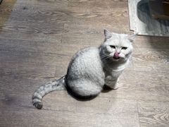 -小时光咖啡馆(开森度假森林店)