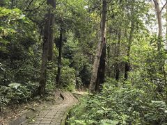 -火炉山森林公园