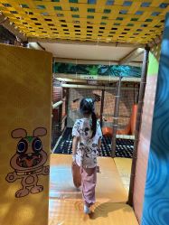 -卡通尼·Safari非洲探索乐园·生日会(金桥国际商业广场店)