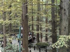 -国家植物园南园