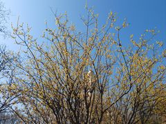 -汉口江滩-五福广场