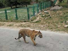 -西安秦岭野生动物园