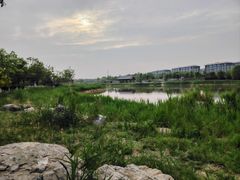 -水西公园
