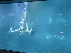 -福州罗源湾海洋世界旅游区