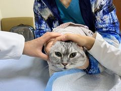 -美联众合动物医院·24h转诊中心