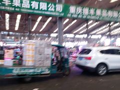 -双福水果批发市场
