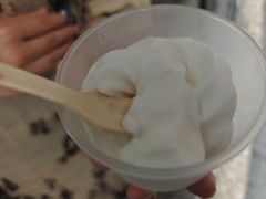 -洪馨椰子