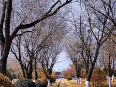 -永定河休闲森林公园