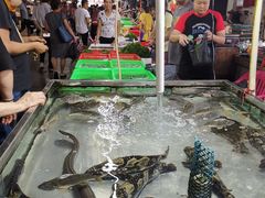 景观位-都斛海鲜街