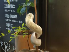 -Dogi&kiki Coffee(中心商务大厦店)