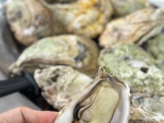 原只蒸生蚝-嘉升大排档(番禺总店)