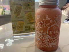 -野萃山·潮汕厚果汁(十亩地店)