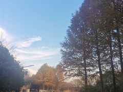 -苏州太湖国家湿地公园